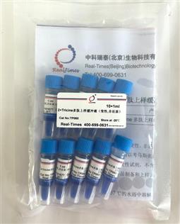 2×Tricine多肽上樣緩沖液（變性，非還原）